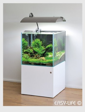 Easy-Life Profito engrais aquarium - Miniaqua77